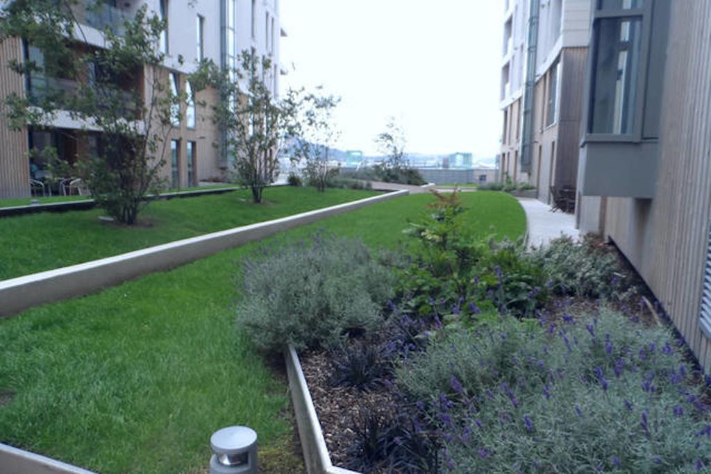 Ck Serviced Apartments Belfast Exteriör bild